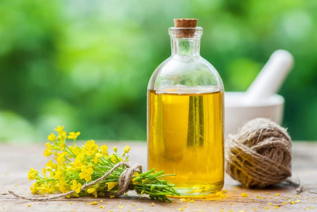 Canola oil (rapeseed oil) bottle image