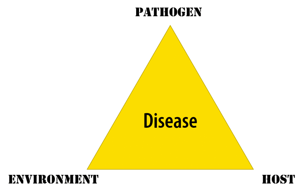 disease triangle