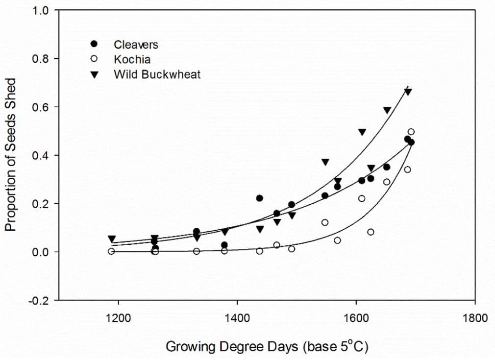 Seed shed of natural populations of cleavers, kochia, and wild buckwheat in response to thermal time (graph)