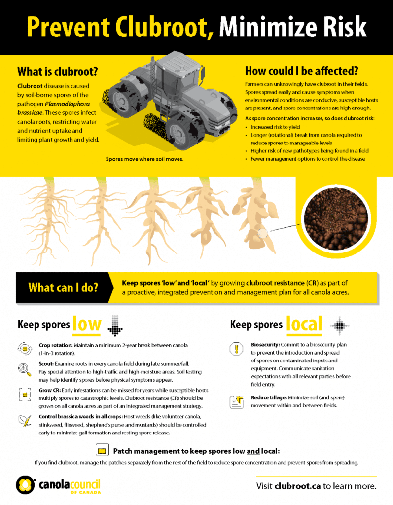 Clubroot management factsheet (where clubroot may not have been confirmed))