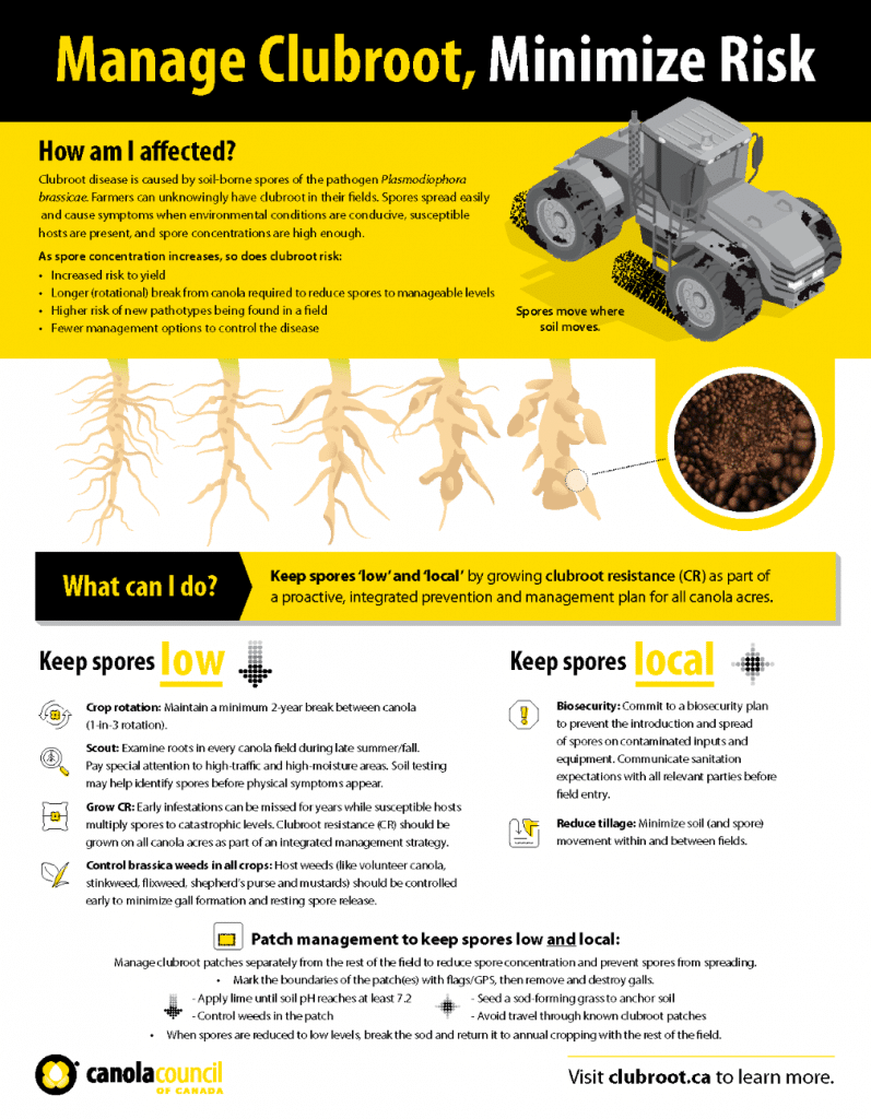 Clubroot management factsheet 