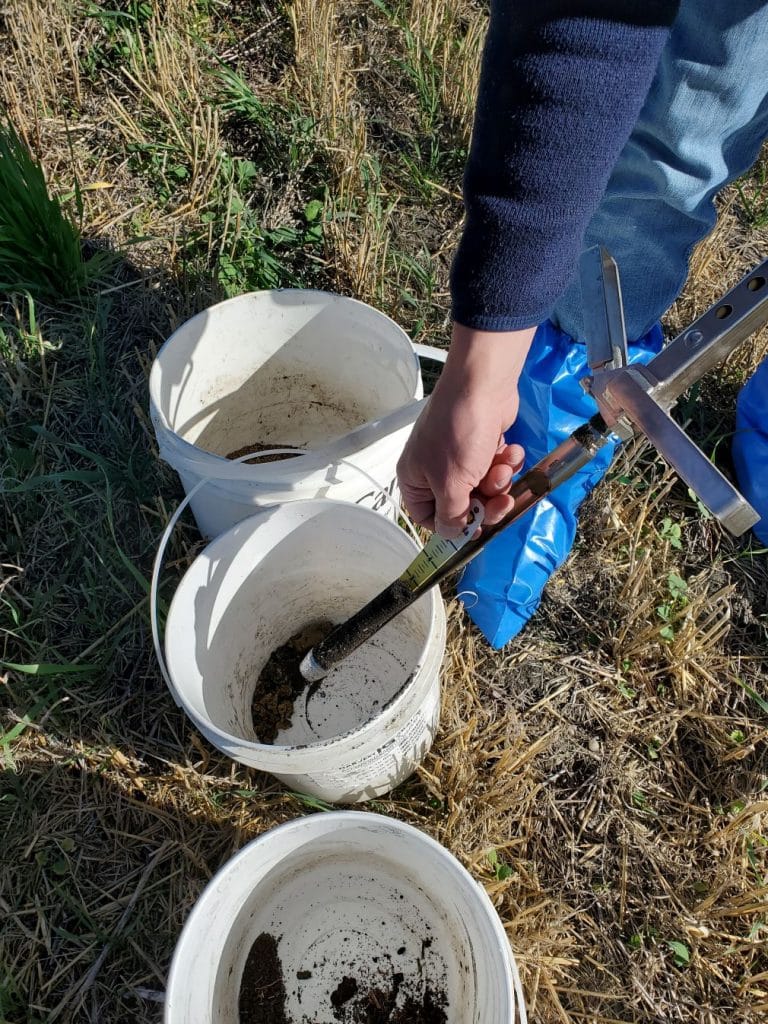 soil sampling