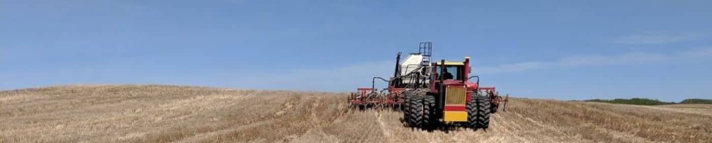 Seeding canola