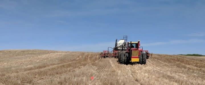 Seeding canola