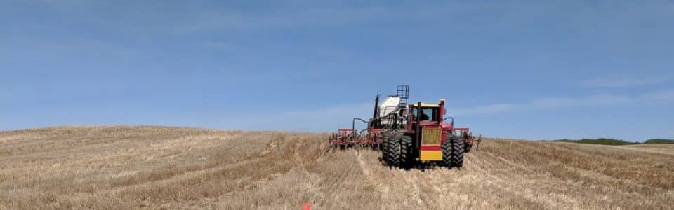 Seeding canola