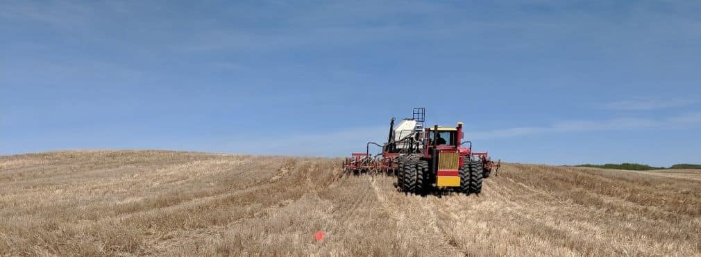 Seeding canola