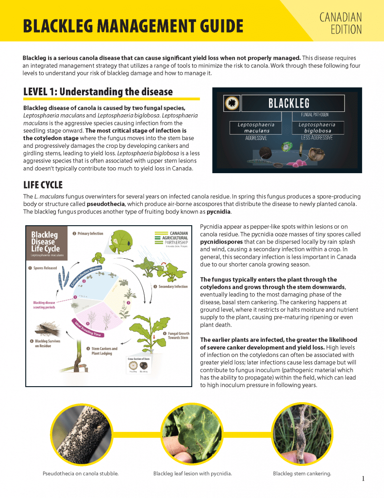 blackleg management guide