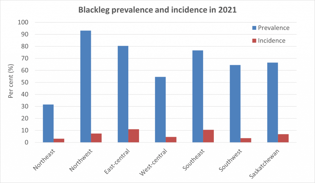 Saskatchewan blackleg prevalence and incidence map