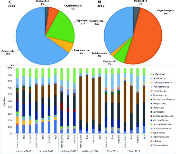 fungal microbiome of the canola (Brassica napus) rhizosphere