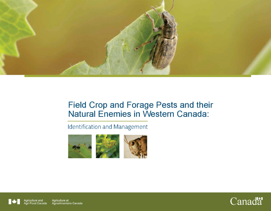 AAFC insect scouting guide