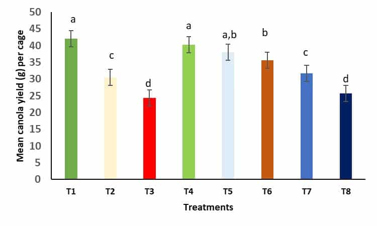 Diamondback moth research (graph)