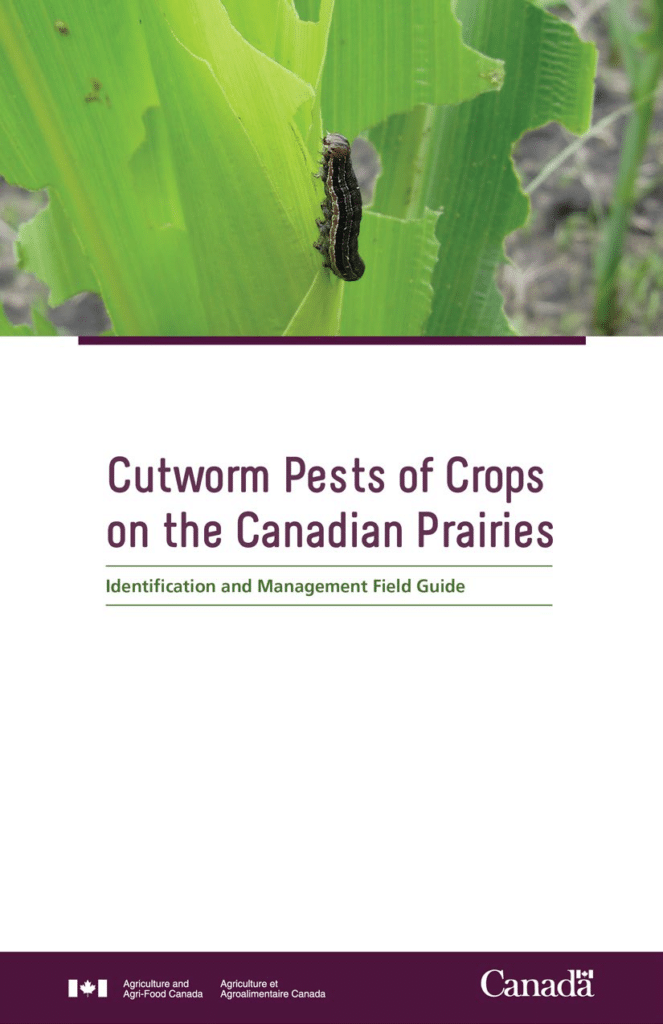 AAFC cutworm guide cover