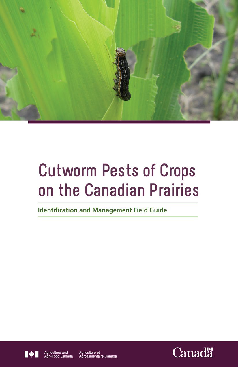 AAFC cutworm guide cover
