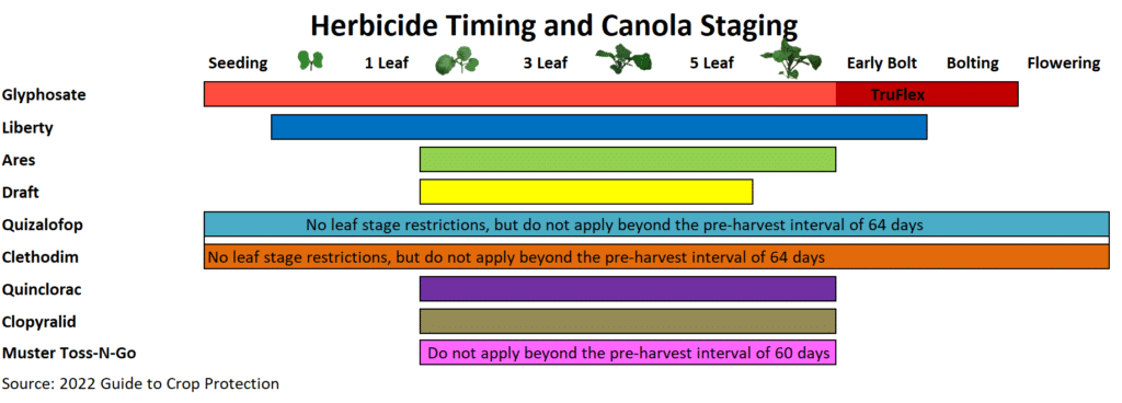 Canola herbicide timing and staging chart