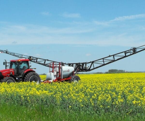 sclerotinia spray decision