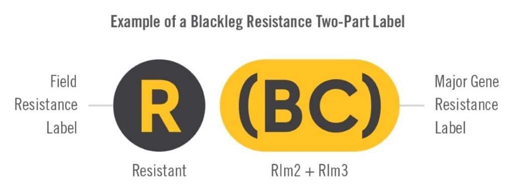 blackleg 2-part label