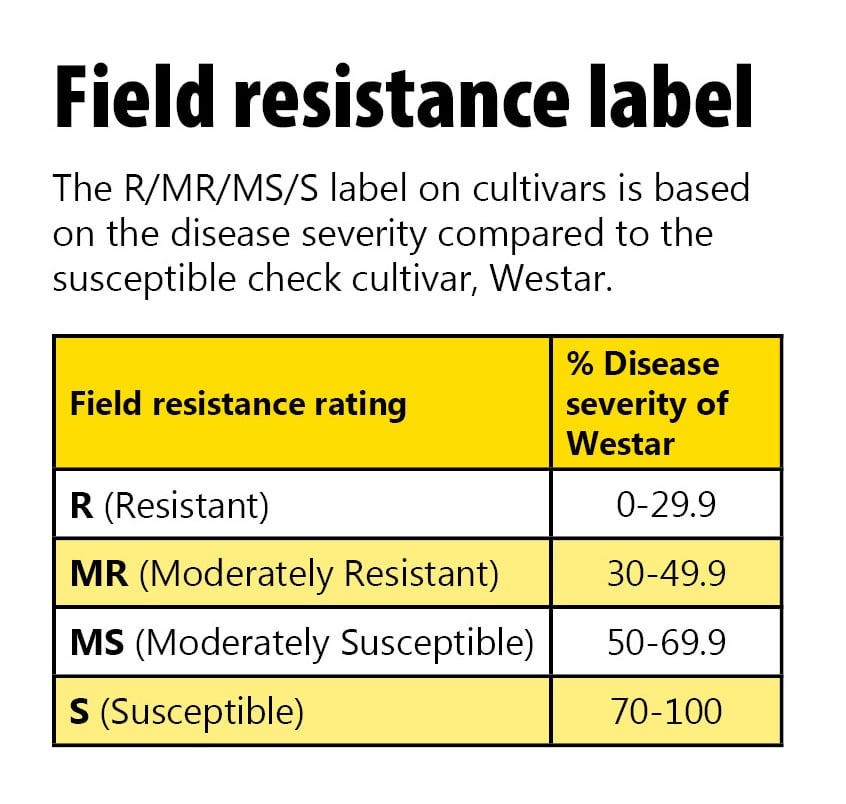 blackleg field resistance label
