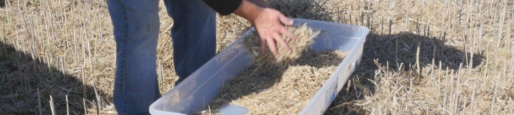 harvest loss sample collecting