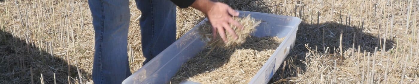 harvest loss sample collecting