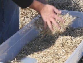 harvest loss sample collecting