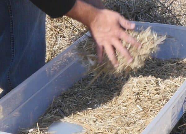 harvest loss sample collecting