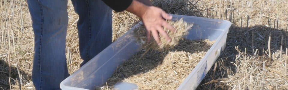 harvest loss sample collecting