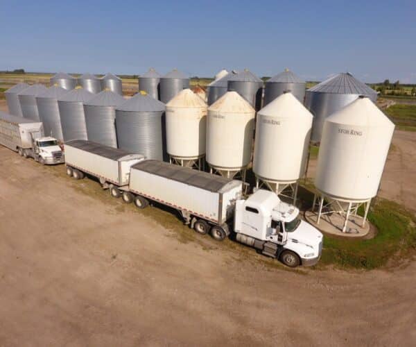 canola storage