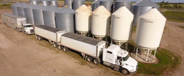 canola storage