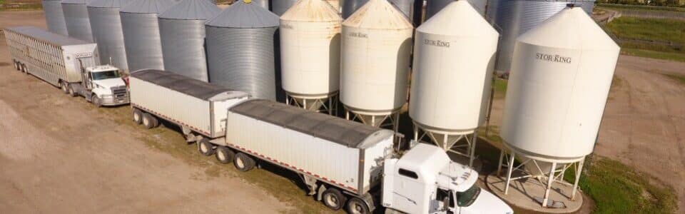 canola storage