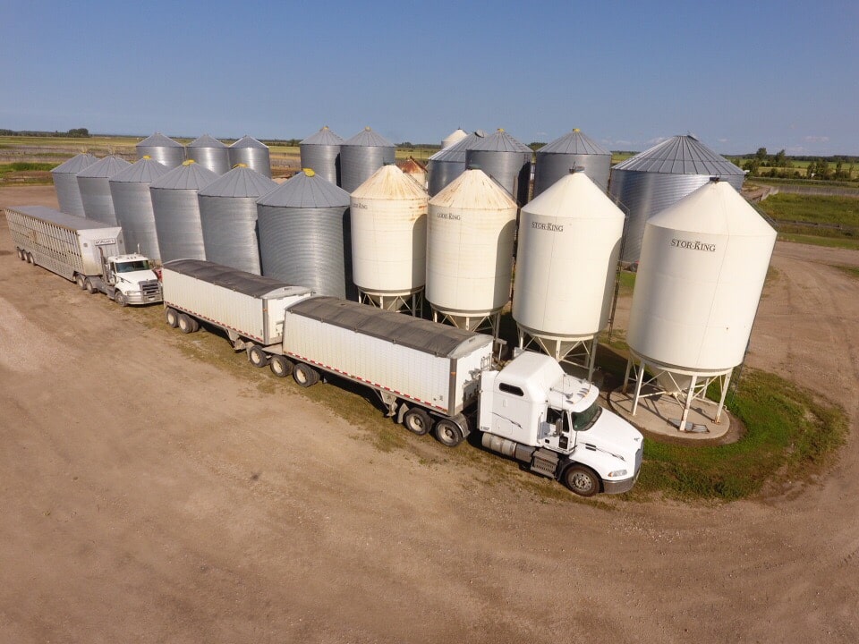 canola storage