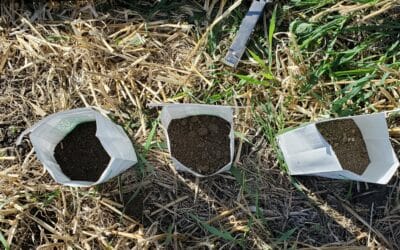 soil samples