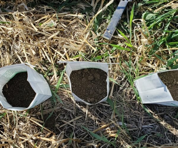 soil samples