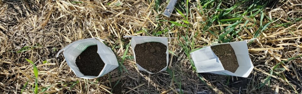 soil samples