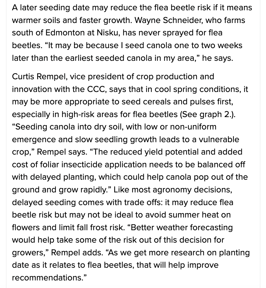 Canola Digest flea beetle management article