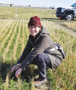 Researchers in a field