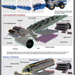 combine anatomy