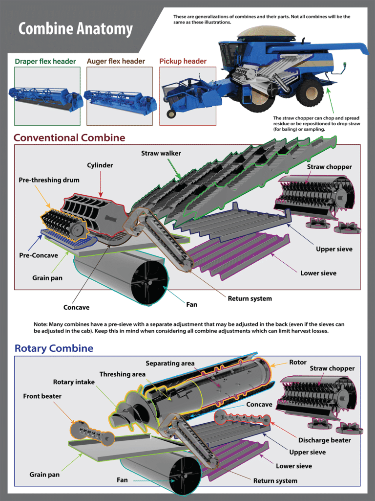 combine anatomy