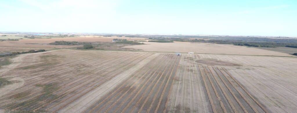 Harvesting on-farm field scale canola trials in fall