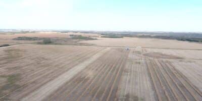 Harvesting on-farm field scale canola trials in fall