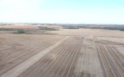 Harvesting on-farm field scale canola trials in fall