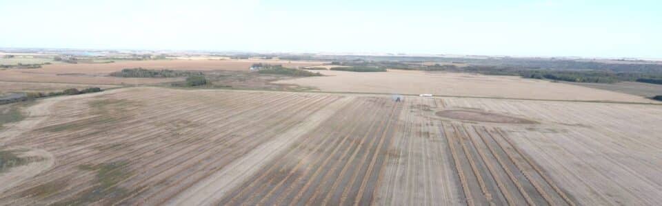 Harvesting on-farm field scale canola trials in fall