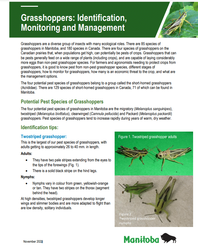 Manitoba Agriculture's Grasshoppers: Identification, Monitoring and Management guide (updated November 2022)