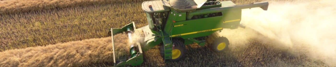 harvesting swathed canola