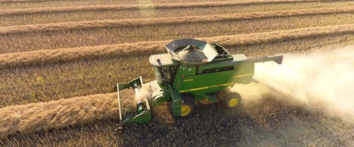 harvesting swathed canola