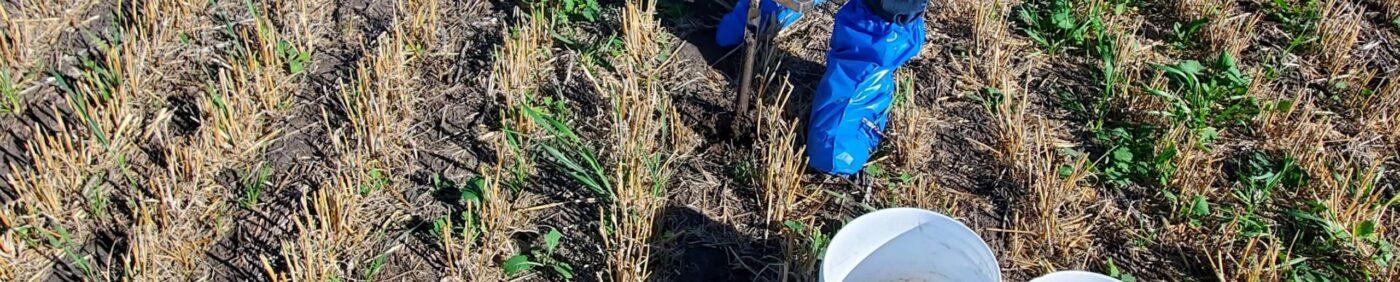 Fall soil sampling in a field