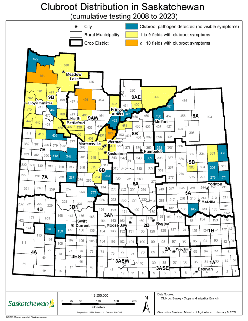 SK clubroot survey results map (Jan 2024)