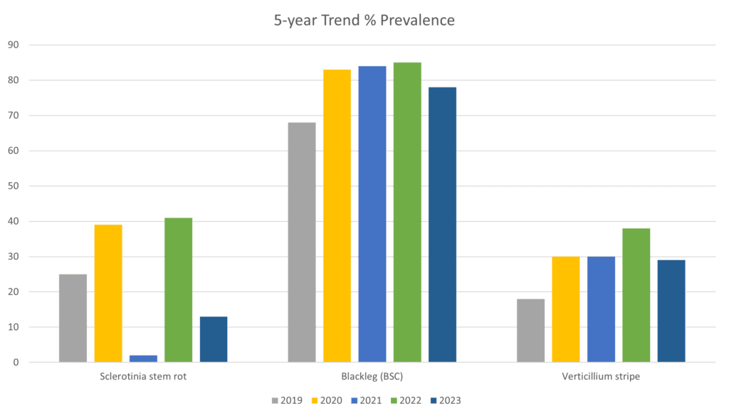 Manitoba Canola Disease Survey 2023