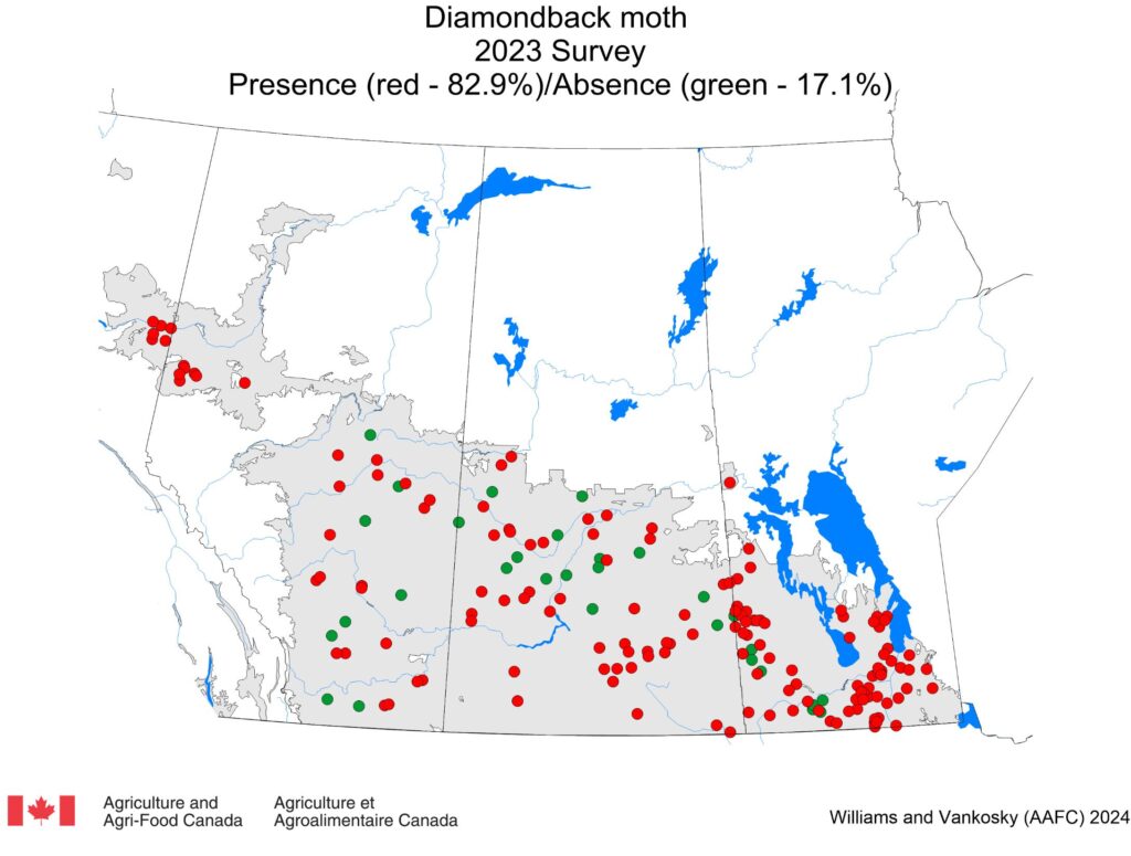 Prairie diamondback moth 2023 survey map