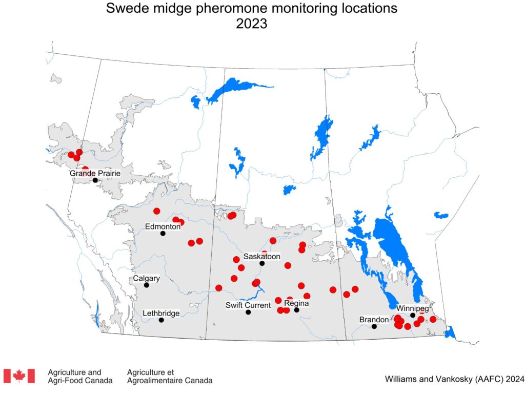 Map of prairie swede midge pheromone monitoring locations of 2023 survey