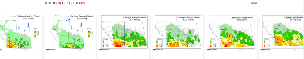 PPMN's annual cabbage seedpod weevil risk maps between 2018-2023.